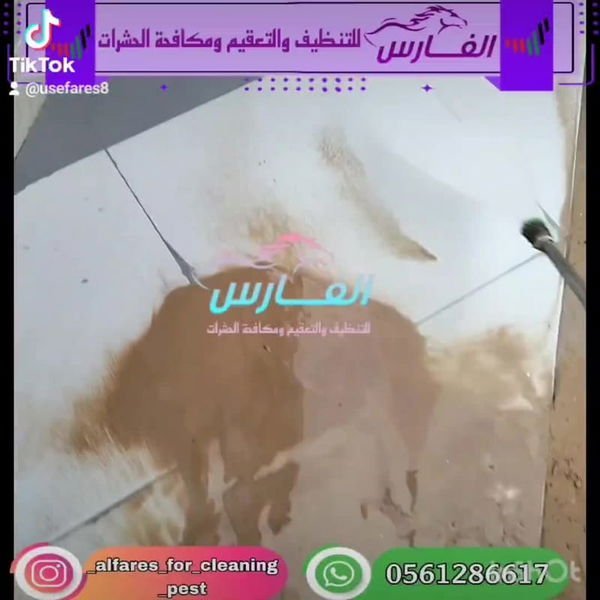 تنظيف مطابخ في الفجيرة : إزالة الدهون وتلميع الأسطح 🍳